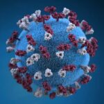 Virus Image Virus Image