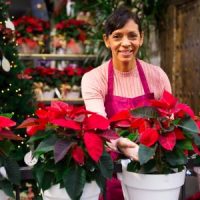 SeasonalWorker SeasonalWorker