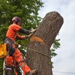 LogWorker LogWorker